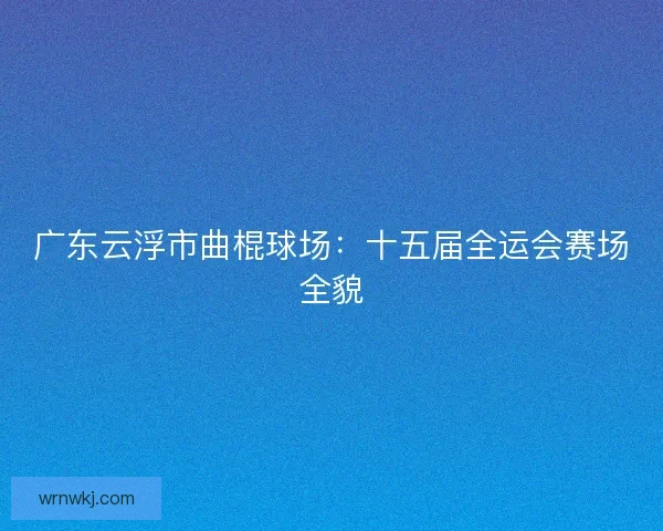 广东云浮市曲棍球场：十五届全运会赛场全貌