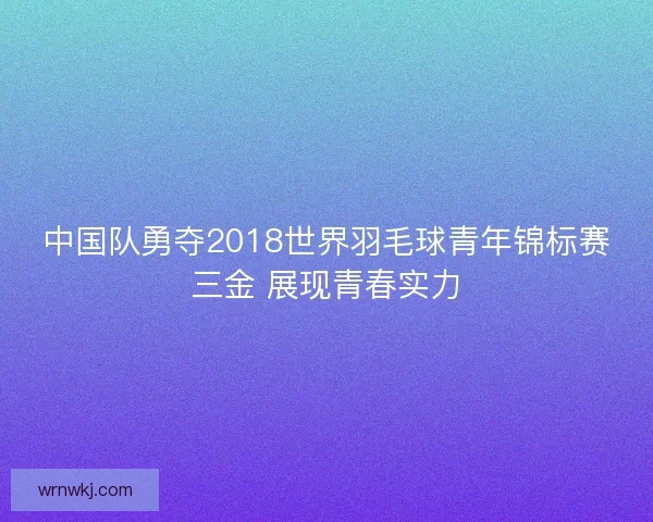 中国队勇夺2018世界羽毛球青年锦标赛三金 展现青春实力